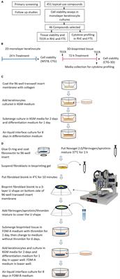 Two-Dimensional Cellular and Three-Dimensional Bio-Printed Skin Models to Screen Topical-Use Compounds for Irritation Potential